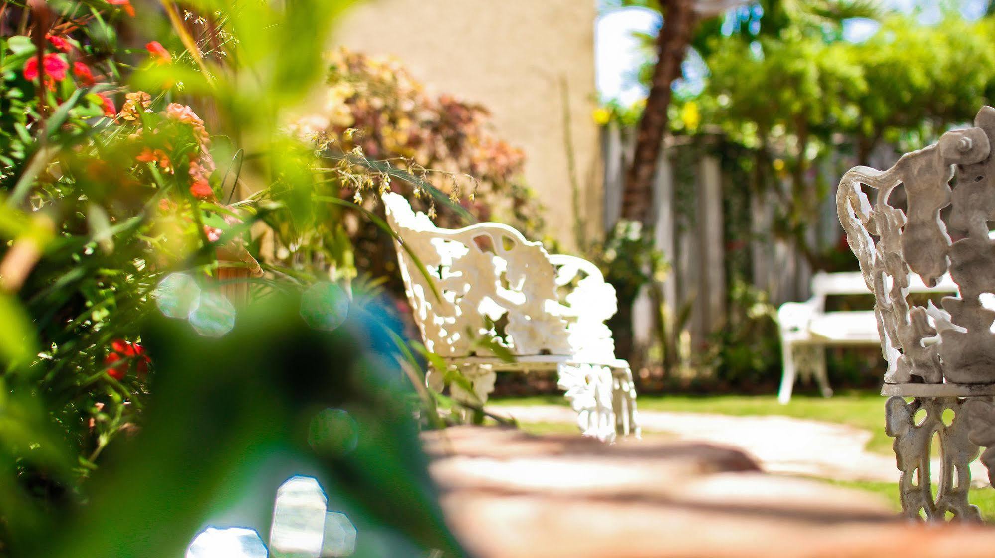 Cattleya Luxury Suites Kingston Esterno foto