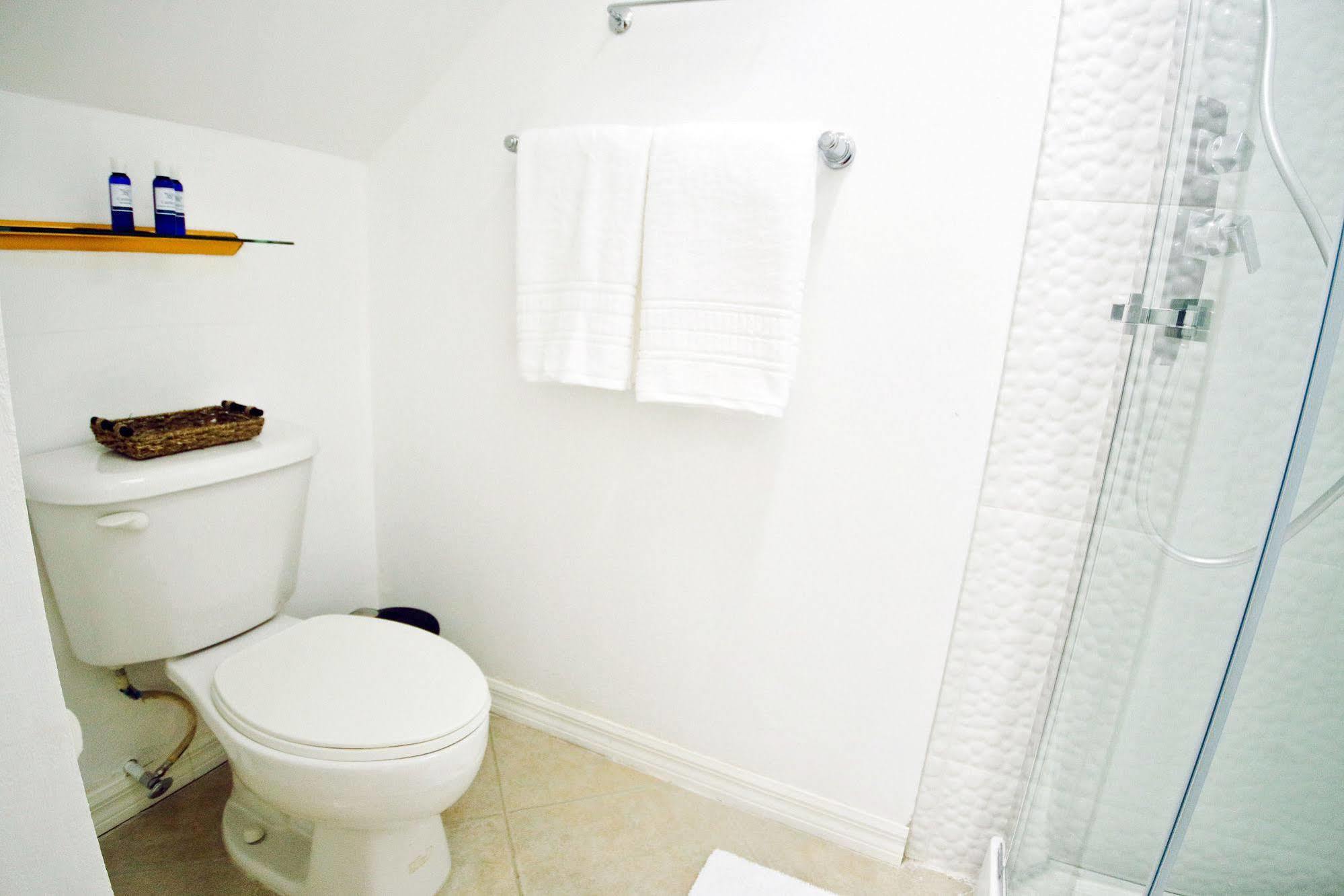 Cattleya Luxury Suites Kingston Esterno foto