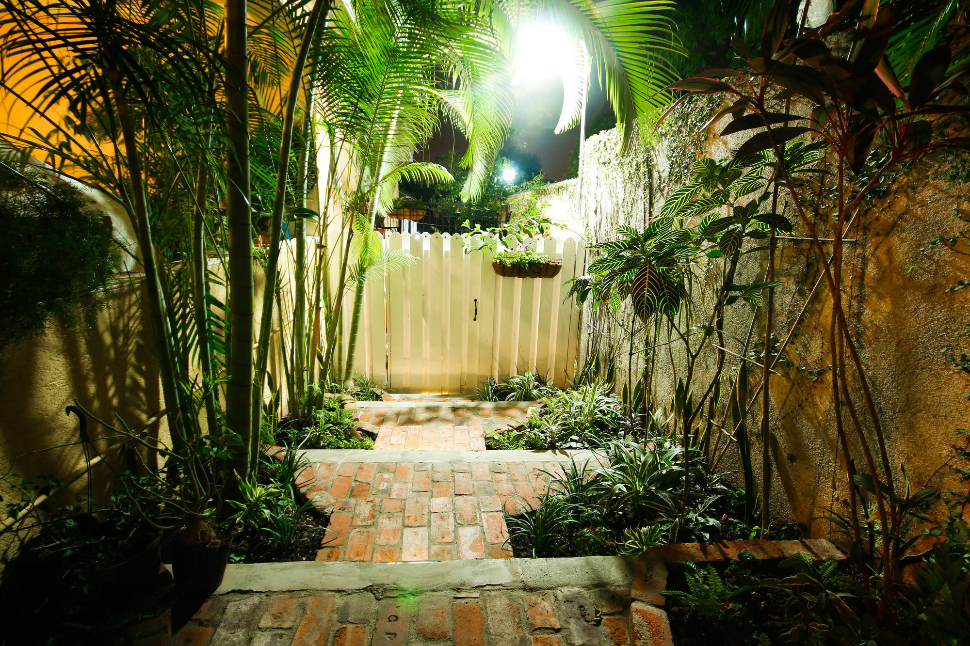 Cattleya Luxury Suites Kingston Esterno foto