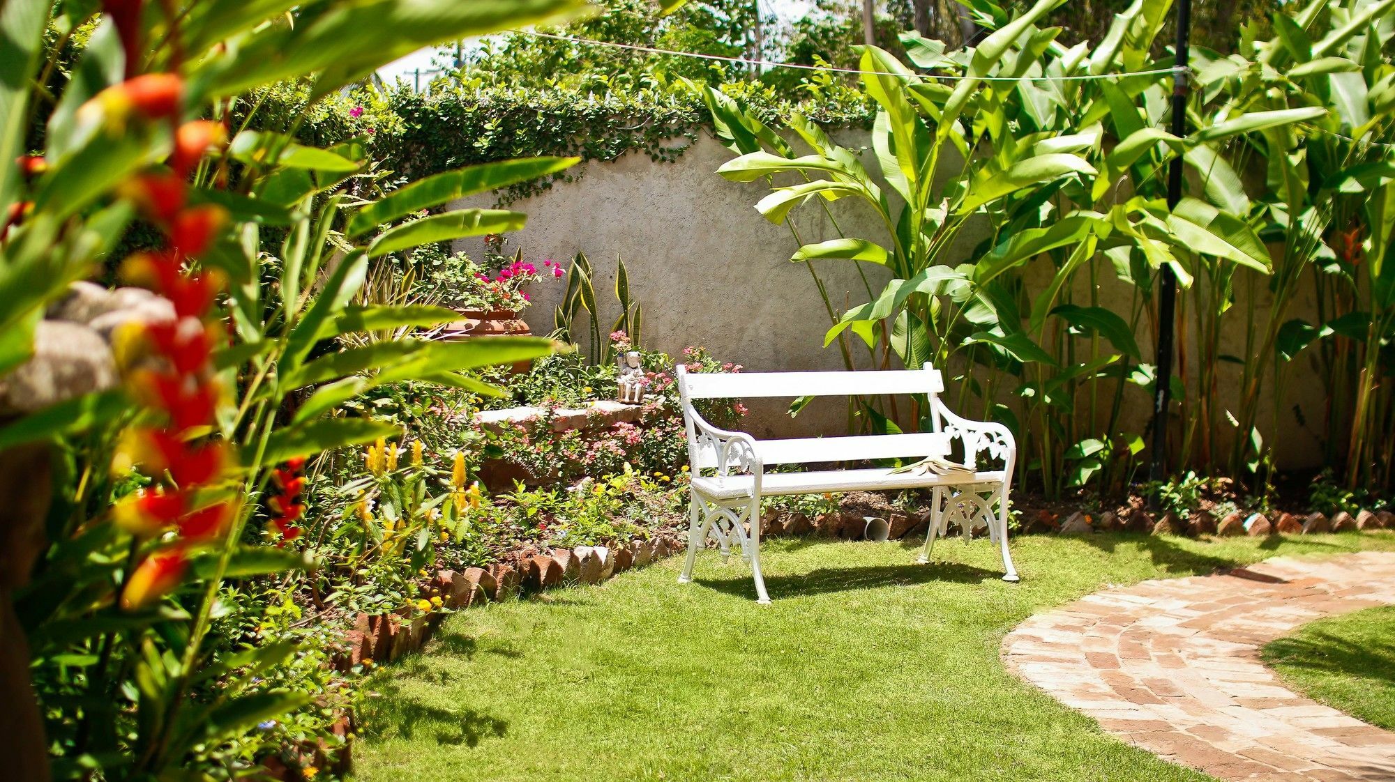 Cattleya Luxury Suites Kingston Esterno foto