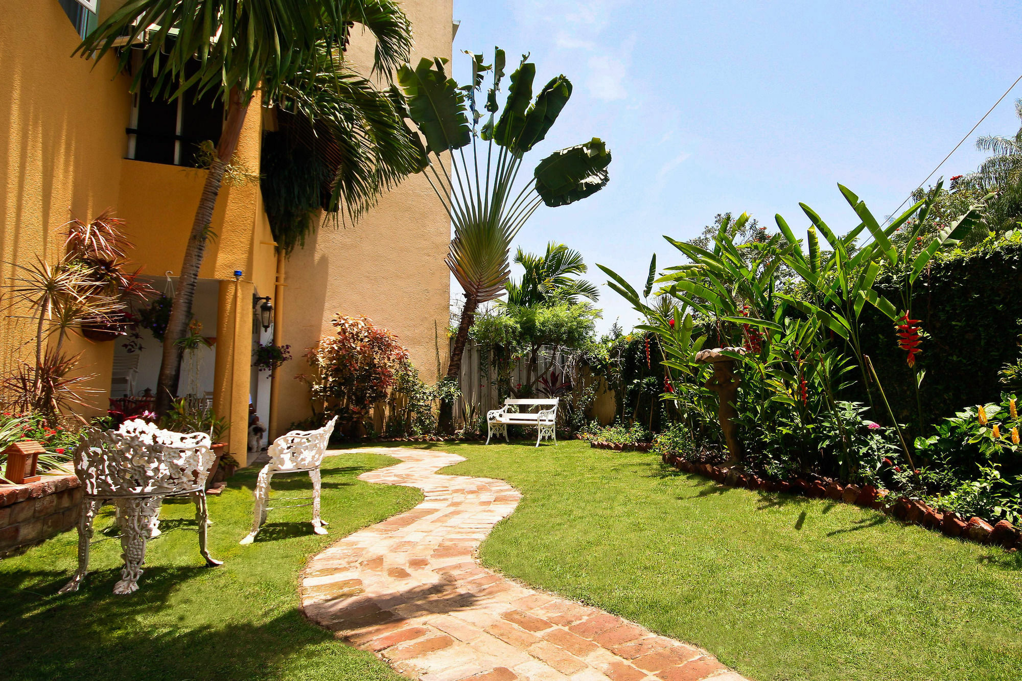 Cattleya Luxury Suites Kingston Esterno foto