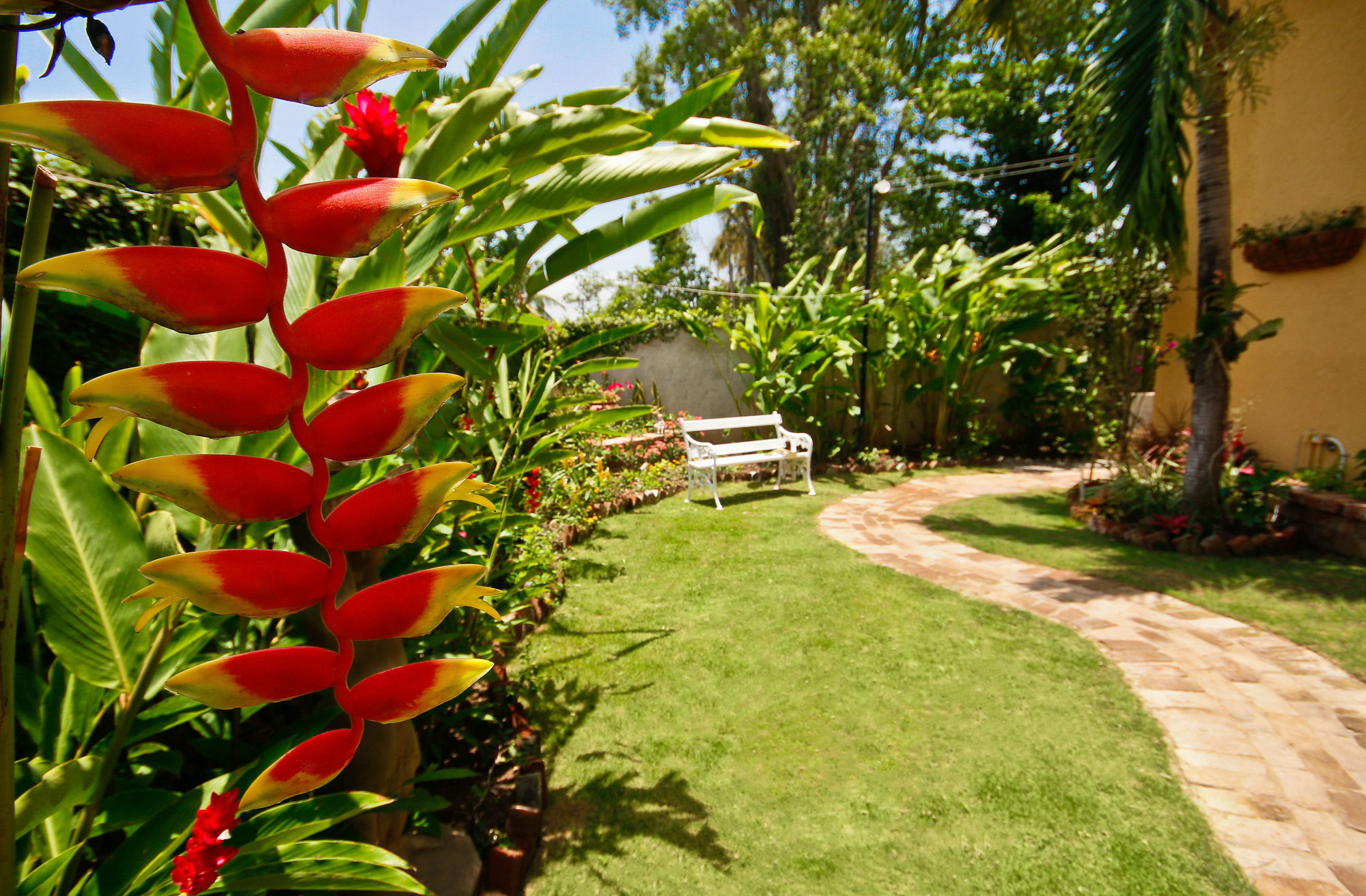 Cattleya Luxury Suites Kingston Esterno foto